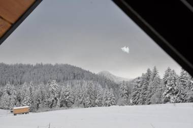 APARTAMENTY "U Bliźniaków"