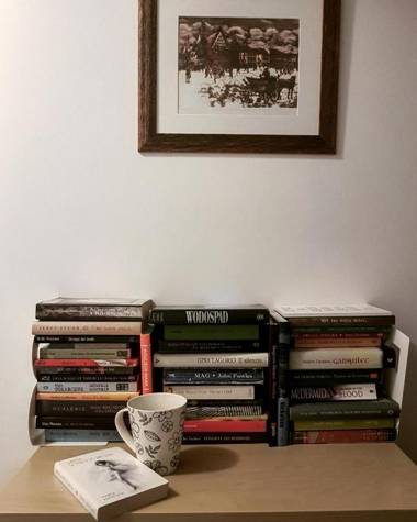 Pokoje gościnne przy Ogrodzie Staromiejskim