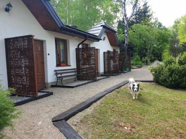 Matecznik Brzeziniak