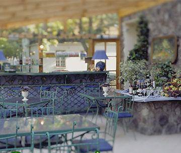 Dedek Park - dworek w pięknym Parku Skaryszewskim obok Stadionu Narodowego