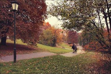 Rynek Starego Miasta 19