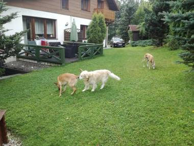 Willa Panorama Medical Spa