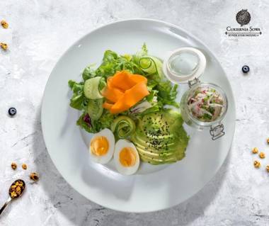 Apartamenty Sowa Toruń