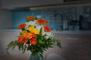 Apartamenty Dolina Skrzycznego