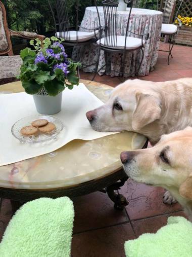 Pensjonat Pod Lipami