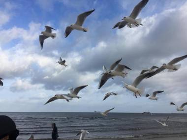 West Baltic Resort Wellness & Spa