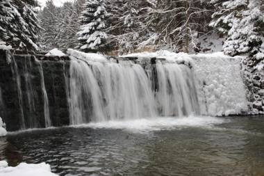 Lawenda-Strefa Ciszy