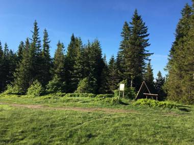 Agroturystyka Leśny Zakątek