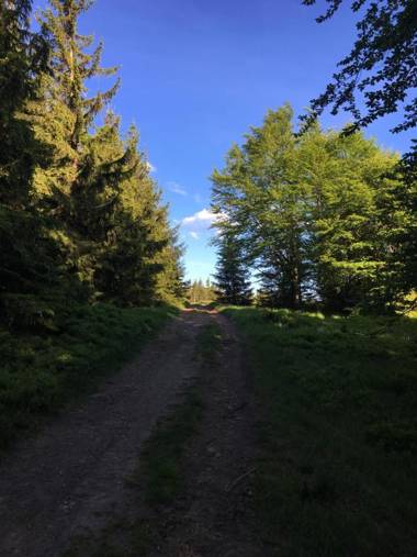 Agroturystyka Leśny Zakątek