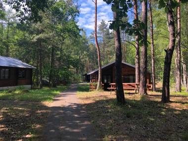 Leśnik Bungalow Stegna