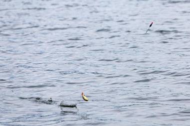 Pokoje Herta - Domek letniskowy