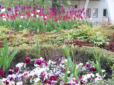 Kierunek Sopot Apartament WERANDA Haffnera 32