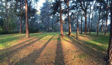 Sopot 34 przy plaży