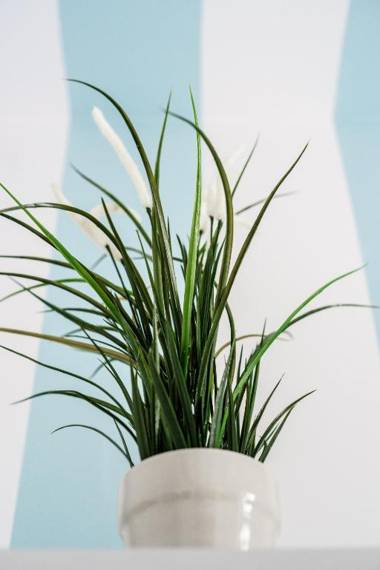 Apartament Mini with balcony