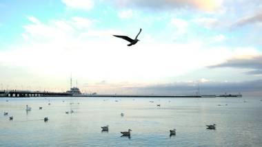 Tiny House (Mały Domek) Happy Hours