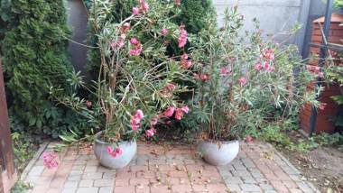 Dom Gościnny 8 km od Suntago Deepspot