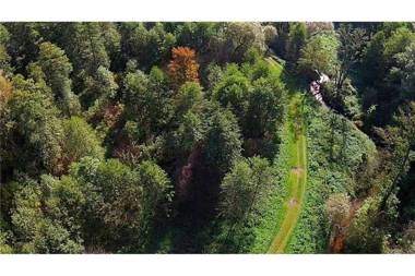 Kuklówka Conference