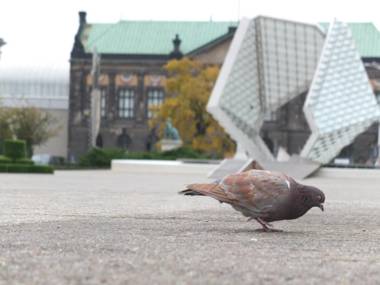 MSapartamenty Centrum 3