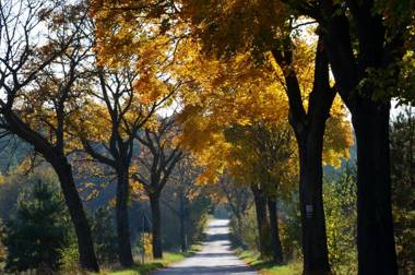 Stara Szkoła w Harszu