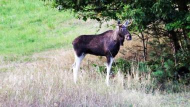 Mazurski Raj - Luksusowa Turystyka
