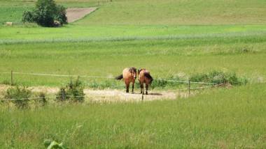 Mazurski Raj - Luksusowa Turystyka
