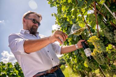 Hotel Niemcza Wino & Spa