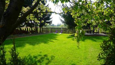 Świerkowy Nałęczów