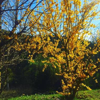 Pensjonat Rehabilitacyjno-Rekreacyjny Zagórzanka