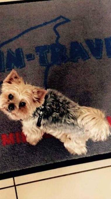 Wolin-Travel Promenada Gwiazd z widokiem na morze