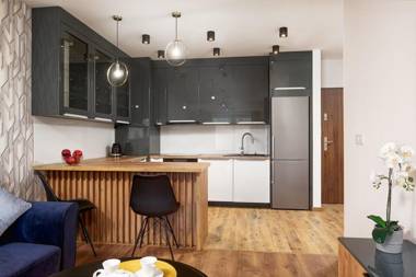 Luxury apartment on Wróblewskiego