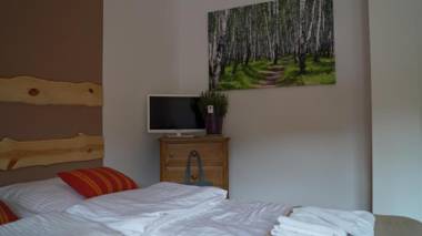 WILLA MAŁE ALPY 300 m OD KOMPLEKSU NARCIARSKIEGO SŁOTWINY-ARENA