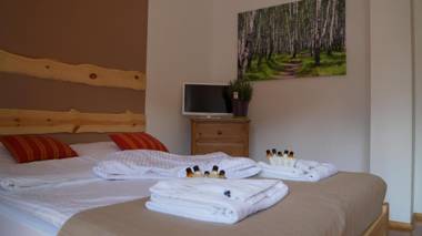 WILLA MAŁE ALPY 300 m OD KOMPLEKSU NARCIARSKIEGO SŁOTWINY-ARENA