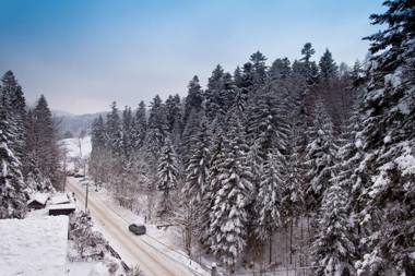 Apartamenty Sun & Snow Zielona