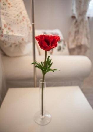 B&B 4.Couples & 4.Friends Hostel