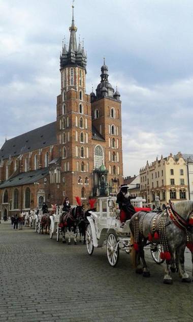 Apartament Amaryllis