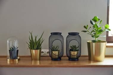 PlayHouse Apartments