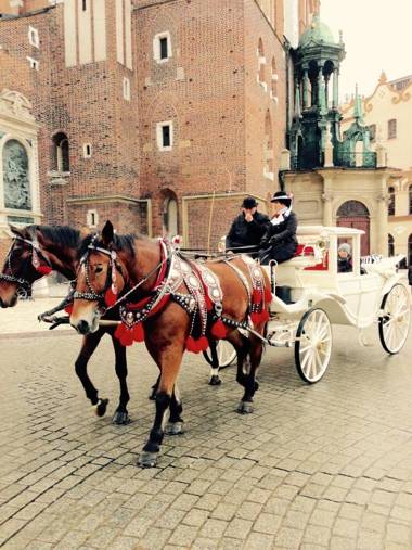 Floriańska Glamour Apartments
