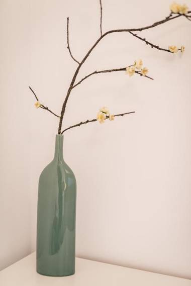 Apartamenty Bosacka WAWELOFTS