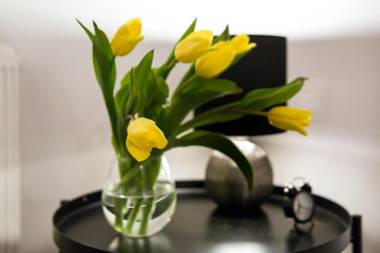 apartamenty Stary Kraków GO