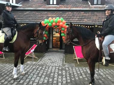 Pokoje Gościnne Cheval