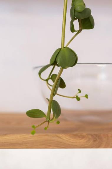 Studio Cracow Rakowicka 14 by Renters