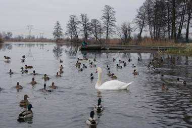 Kryształowy Pałacyk