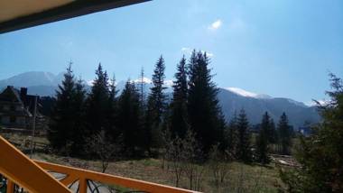 Pensjonat Reymontówka