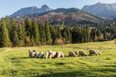 udanypobyt Apartament Koliba