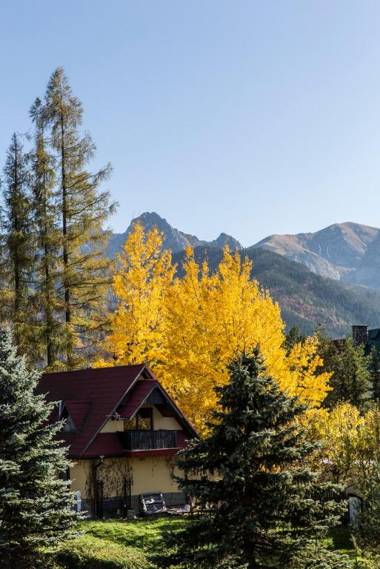 udanypobyt Apartament Przy Polanie SPA