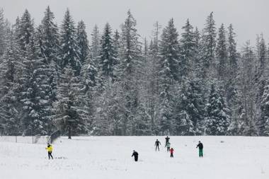 Rent like home - Nędzy Kubińca 3