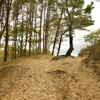 Apartamenty Polanki - visitopl