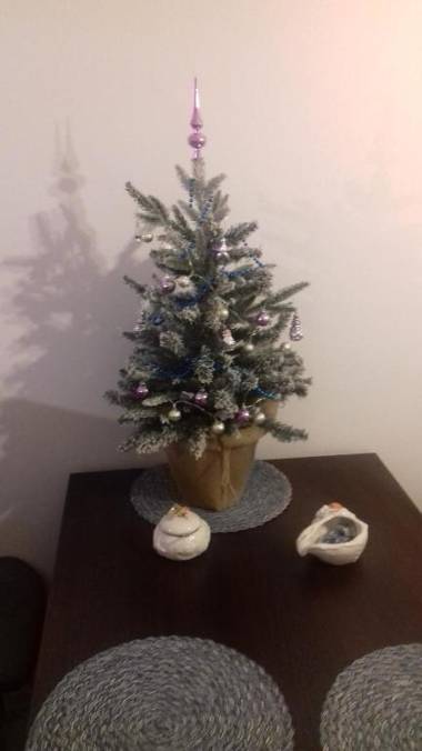 Karmazynowy Apartament Nad Morzem