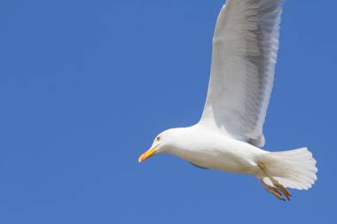 Jantar Apartamenty - Uzdrowisko Kołobrzeg