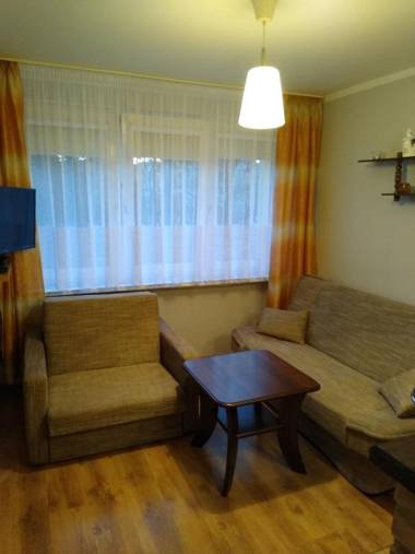 Mieszkanie w centrum